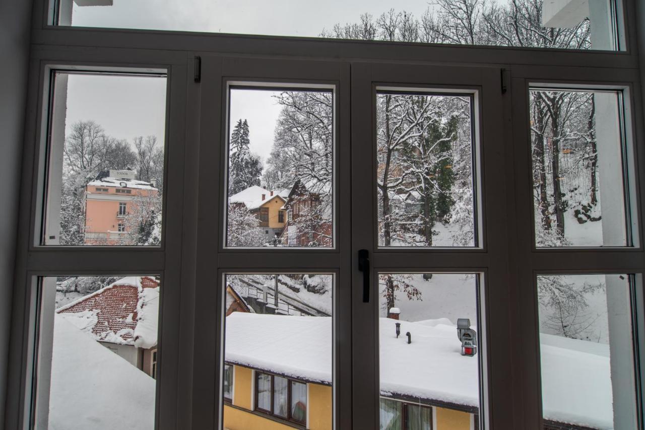 Vila Emilia Vrnjacka Banja Exterior photo